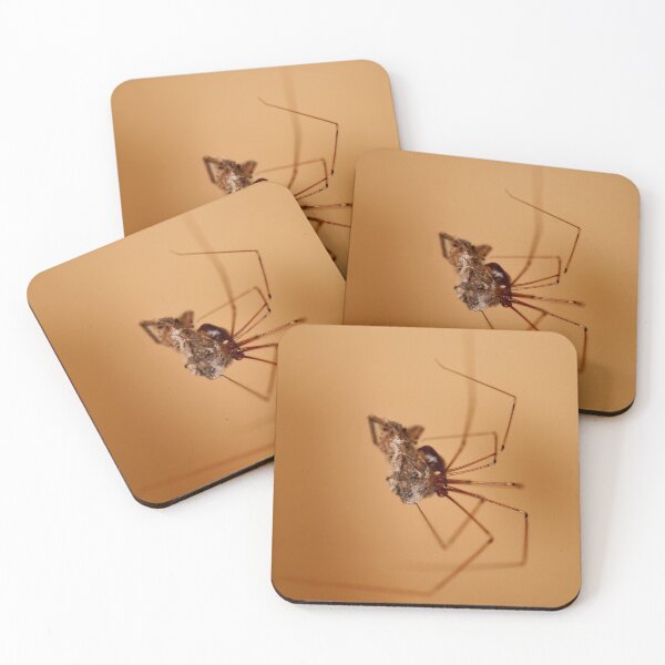 Item preview, Daddy-long-legs with a spider entangled in its web designed and sold by imaginethis.
