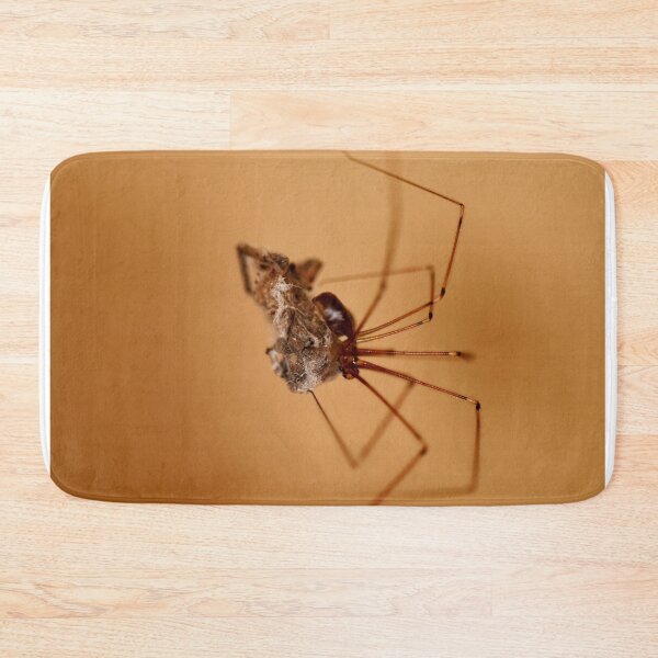 Item preview, Daddy-long-legs with a spider entangled in its web designed and sold by imaginethis.