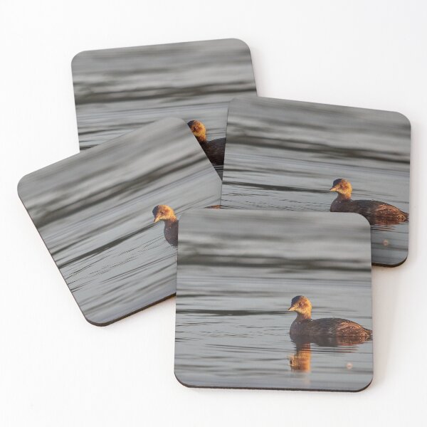 Item preview, Little grebe in blue water designed and sold by Jouko Lehto Photography.