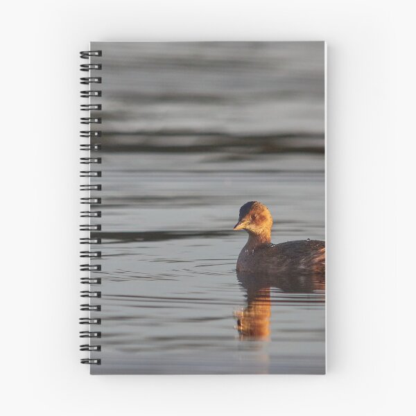 Item preview, Little grebe in blue water designed and sold by Jouko Lehto Photography.