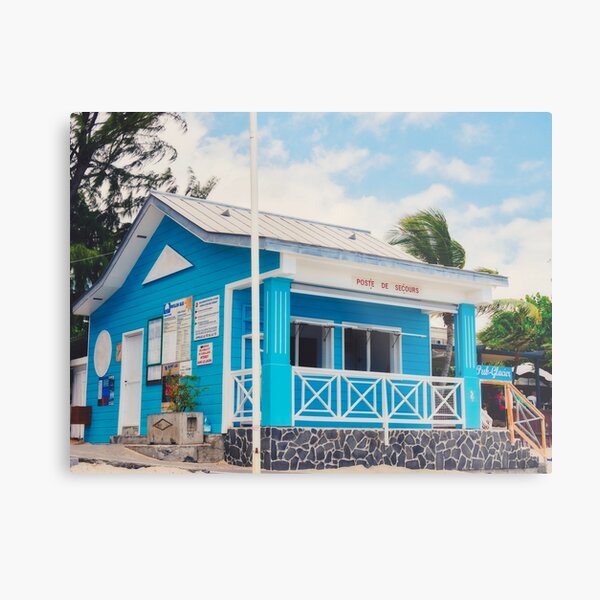 Metal Print