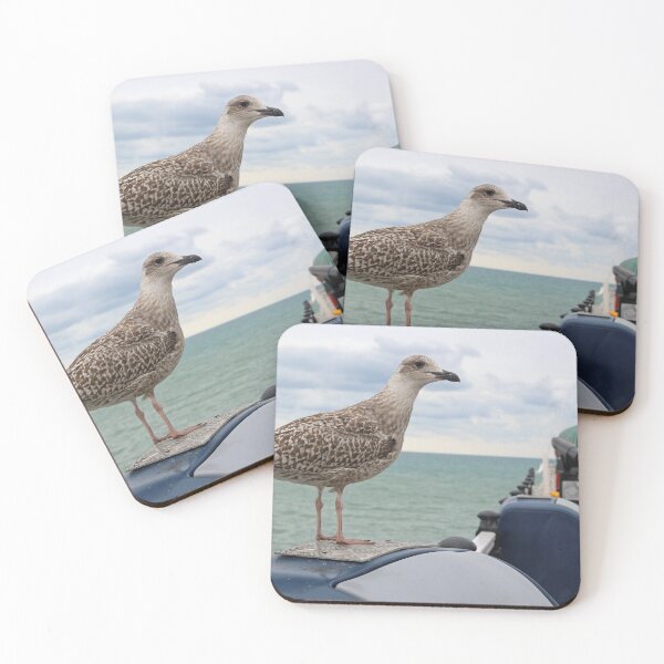Item preview, Seagull and Vardo designed and sold by pinkal.