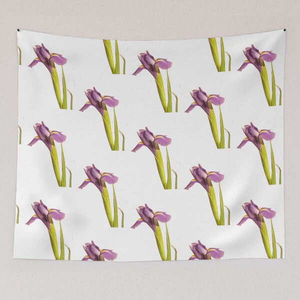 Item preview, Purple Iris closeup designed and sold by Colin Bentham.
