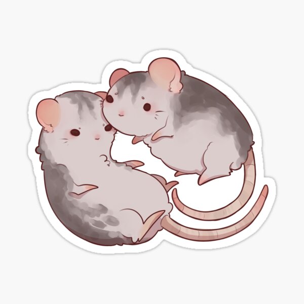 Rats!\
