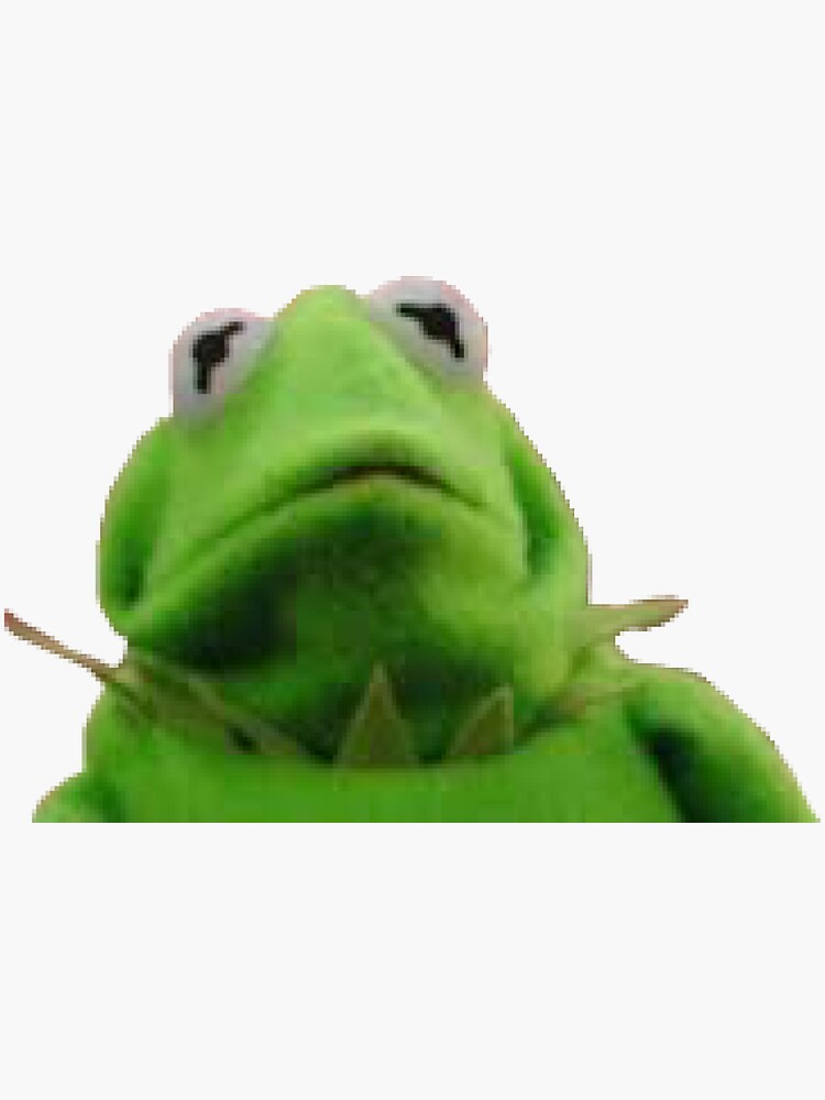 Disgusted Kermit 
