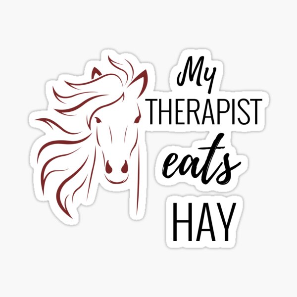 CLINICIAN Natural Horsemanship Vinyl Decal Sticker A CLINICIAN Natural Horsemanship Vinyl Decal Sticker A