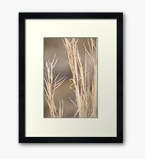 Weeds Framed Print