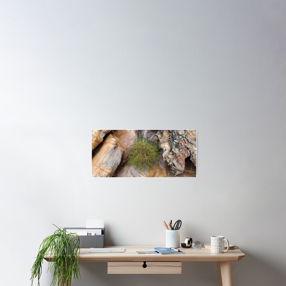 Spinifex Poster