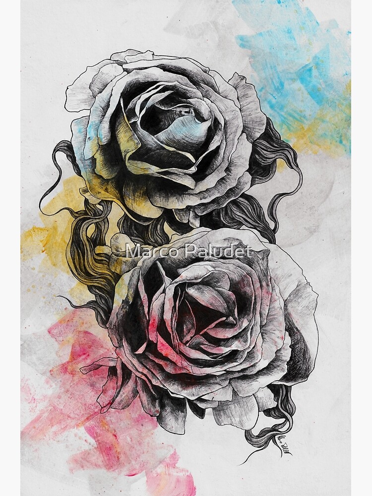 Wild rose flower. Drawing and sketch with black and white line-art, Art  Print | Barewalls Posters & Prints | bwc51563090