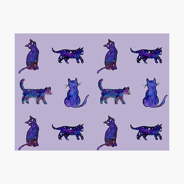 Magical Cat Art Photographic Print