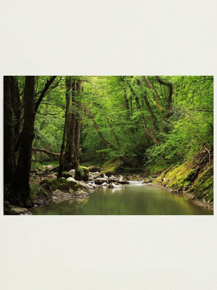 Alternate view of Spingtime greenery along Fornant river Photographic Print