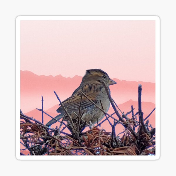 Finch Sticker