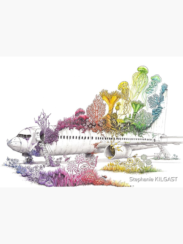 Long Landed - Plane Painting - Rainbow Nature by PetitPlat