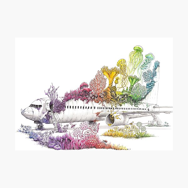 Long Landed - Plane Painting - Rainbow Nature Photographic Print