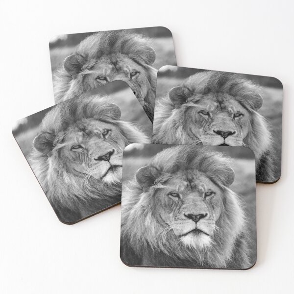 Item preview, Windswept Lion Portrait designed and sold by MattDawsPhoto.