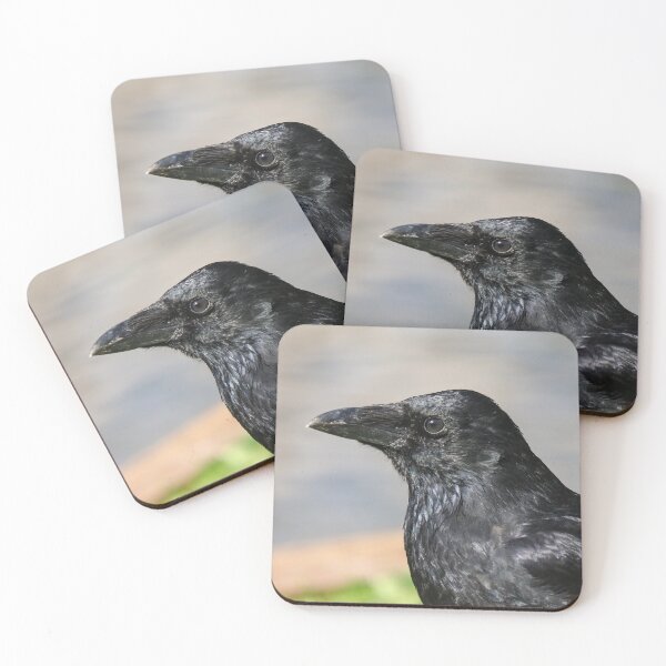 Item preview, Crow portrait designed and sold by GreyFeatherPhot.