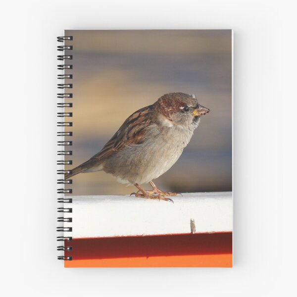 Item preview, Boatyard sparrow designed and sold by GreyFeatherPhot.