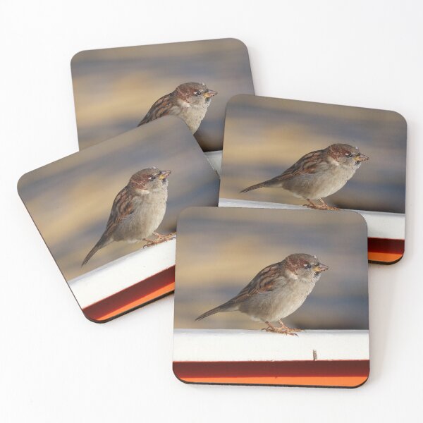 Item preview, Boatyard sparrow designed and sold by GreyFeatherPhot.
