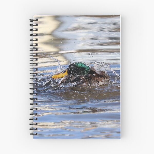 Item preview, Mallard bathing designed and sold by GreyFeatherPhot.