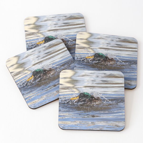 Item preview, Mallard bathing designed and sold by GreyFeatherPhot.