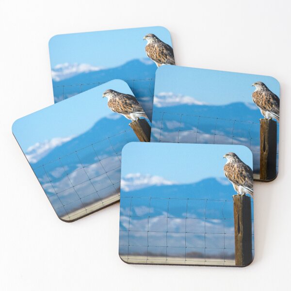 Item preview, Ferruginous Hawk designed and sold by JRRouse.