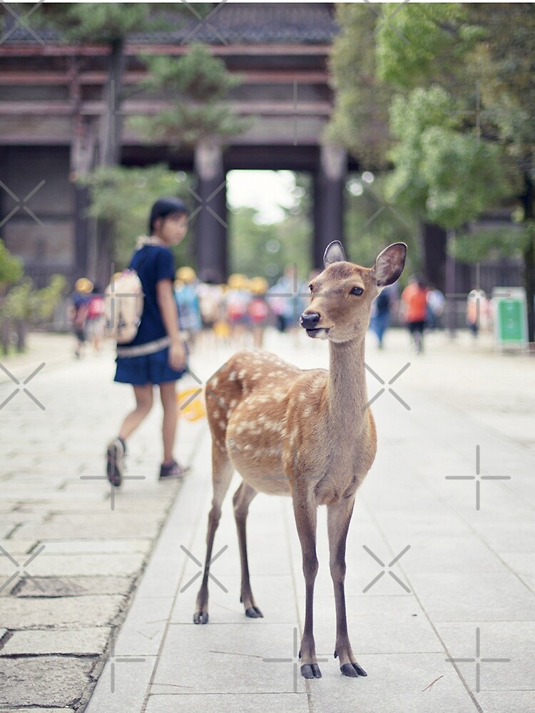 « Biche Nara Fille » par Timena