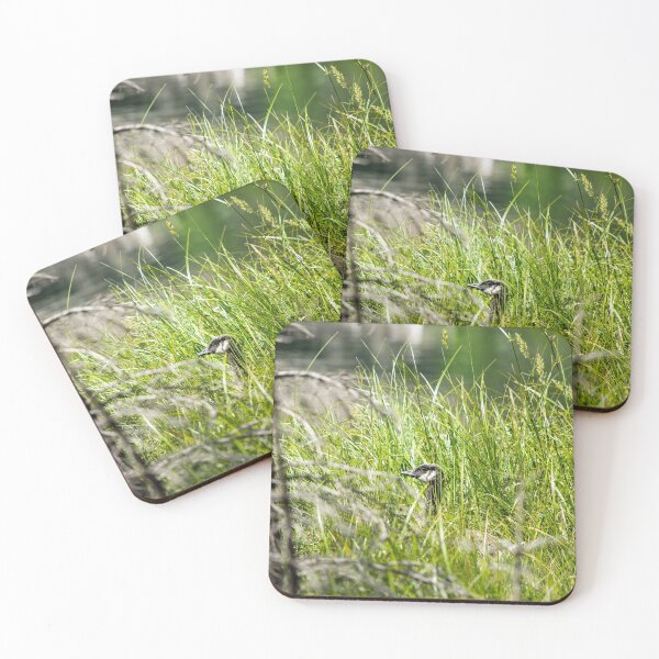 Item preview, Geese in the tall grass with young. designed and sold by CanadianWild418.