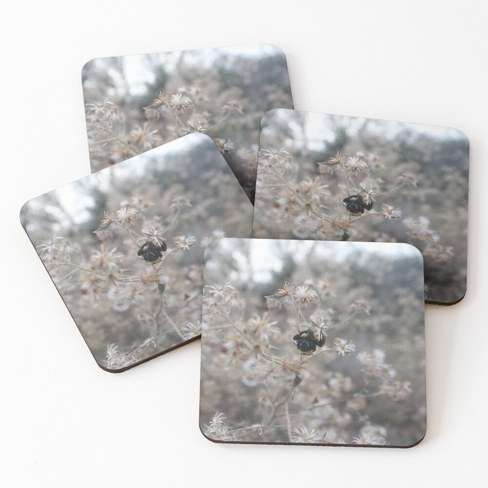 Item preview, Coasters (Set of 4) designed and sold by hendrickssdh.
