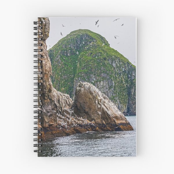 Aperçu de l'œuvre Île des oiseaux créée et vendue par AndyKazie.