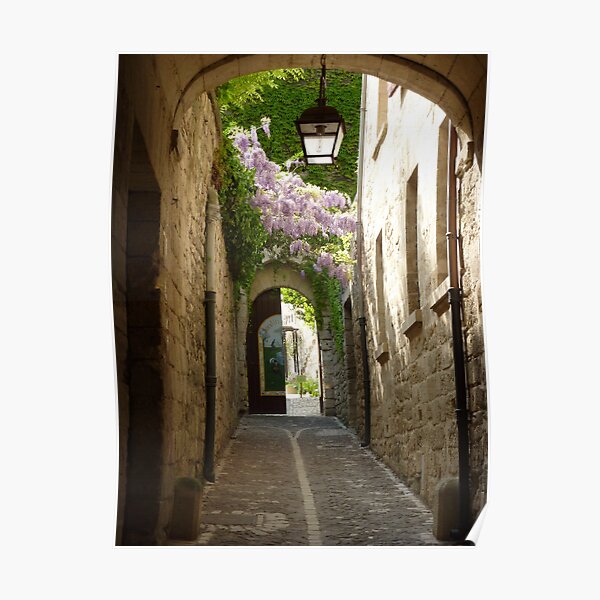 Saint-Rémy-de-Provence Poster