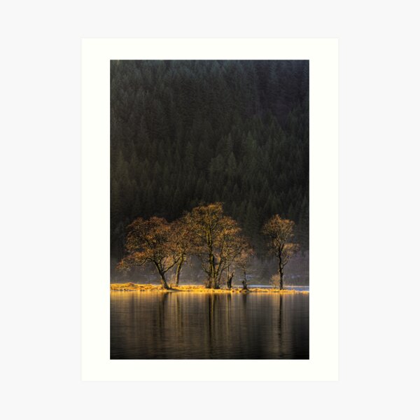 Chon Highlights Art Print