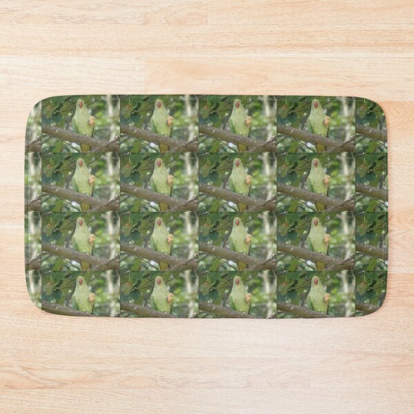 Item preview, Funny Ring Necked Parakeet and Peanut Photograph designed and sold by naturegallery.
