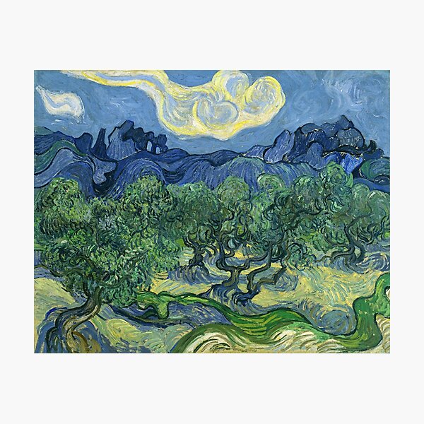 Les oliviers de Vincent van Gogh Impression photo