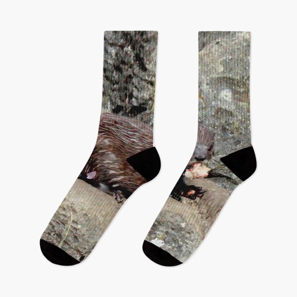 Item preview, Otter Study I designed and sold by BritishYank.