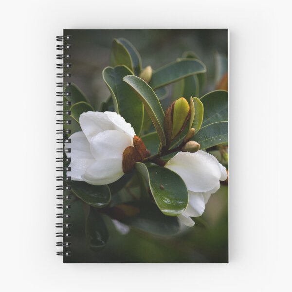 Item preview, Michelia designed and sold by KarenWoodArt.