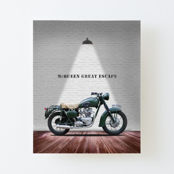 Great Escape Canvas Mounted Print
