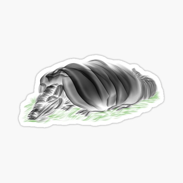 The sleeping armadillo Sticker