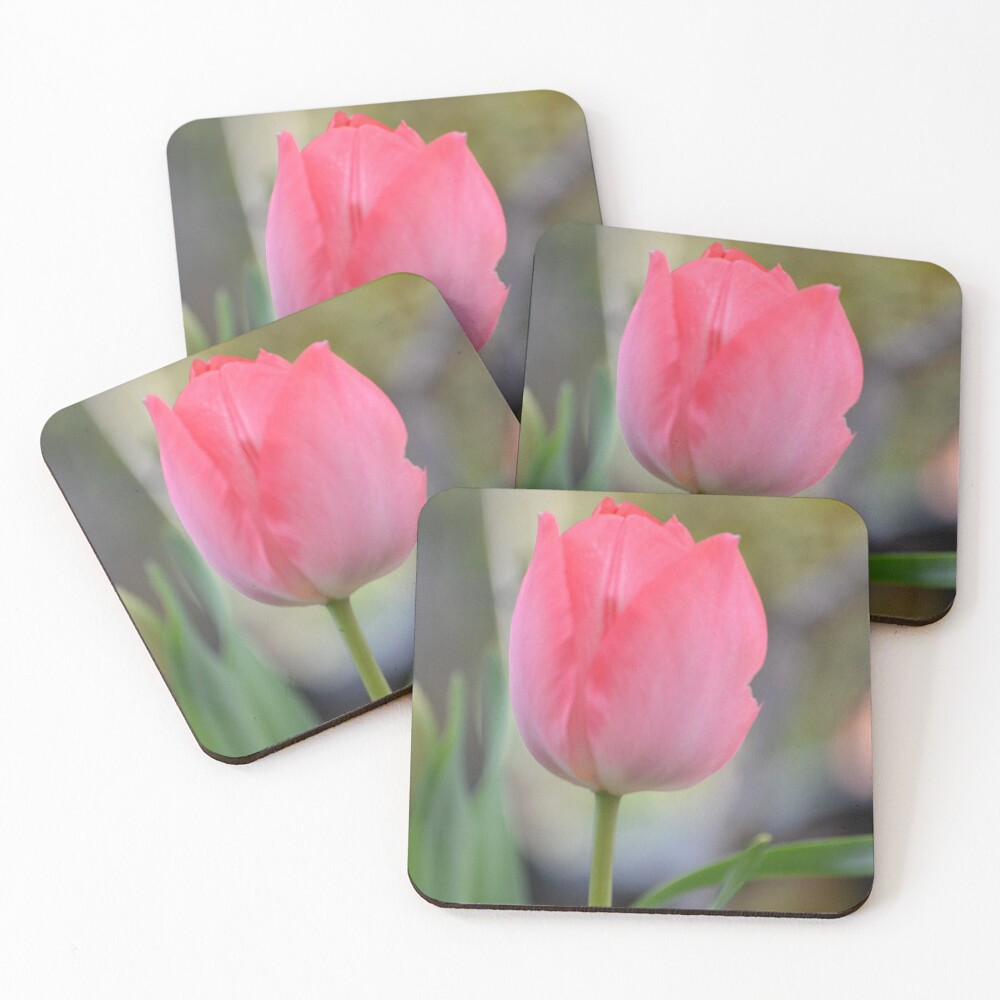 Item preview, Coasters (Set of 4) designed and sold by gracie.
