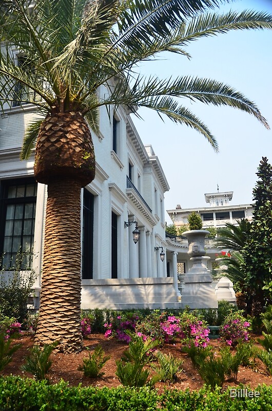 "Palm Tree and Residence in Savannah by Billlee Redbubble