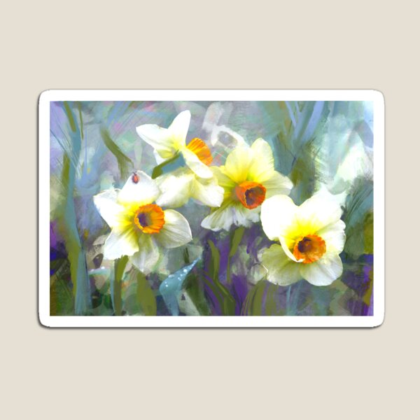 Daffodils on misty blue Magnet