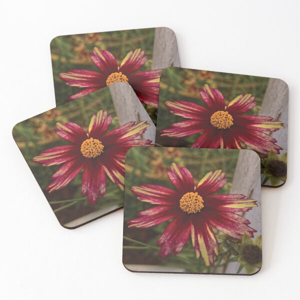 Item preview, The Hidden Coreopsis designed and sold by Glenn-Patrick.