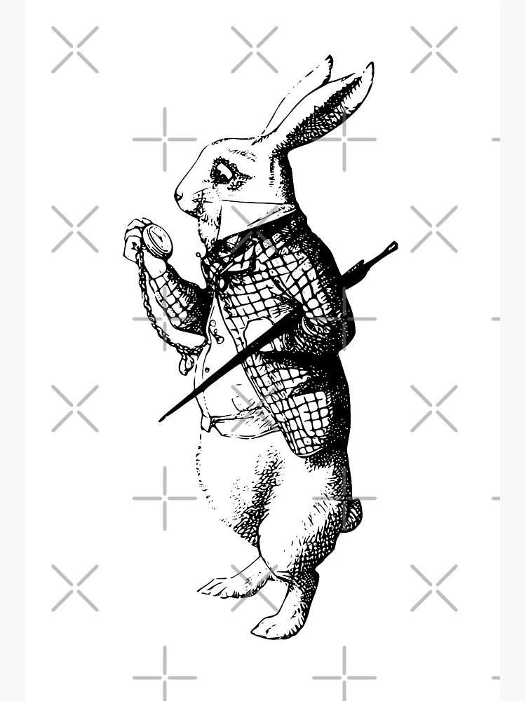 Alice meets the White Rabbit ブラウス オフ白×黒 Alice meets the White Rabbit ブラウス オフ白×黒 Alice meets White