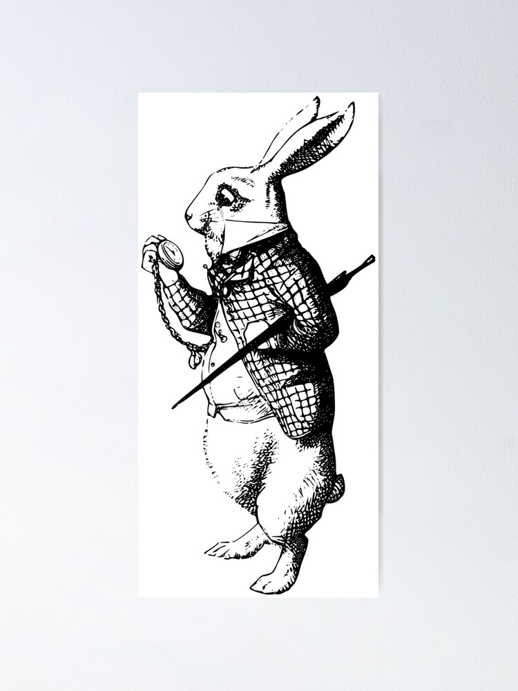 white rabbit alice in wonderland