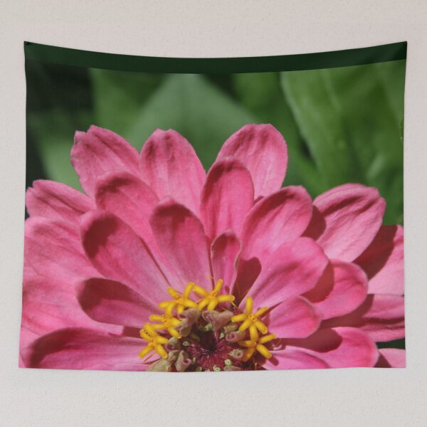 Item preview, Pretty in Pink.  Bloom horizon. designed and sold by picturedlcphoto.