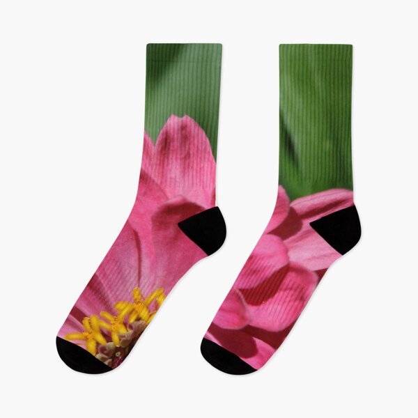 Item preview, Pretty in Pink.  Bloom horizon. designed and sold by picturedlcphoto.