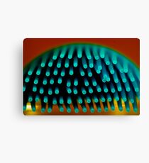Bizarre Canvas Print