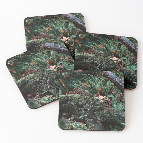 Item preview, Feast for a Baby Squirrel  designed and sold by Andrew Crandall.