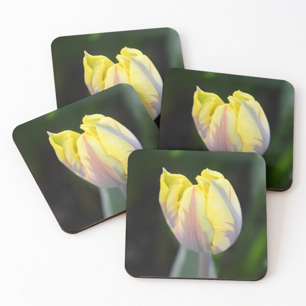 Item preview, Attention to Detail designed and sold by Carla Maloco.