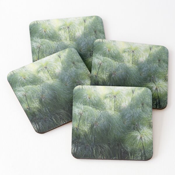 Item preview, Spikes of papyrus sedges, Cyperus papyrus designed and sold by Zosimus.