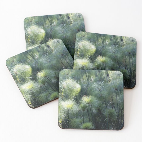 Item preview, Detail photo of spikes of papyrus sedges, Cyperus papyrus. designed and sold by Zosimus.